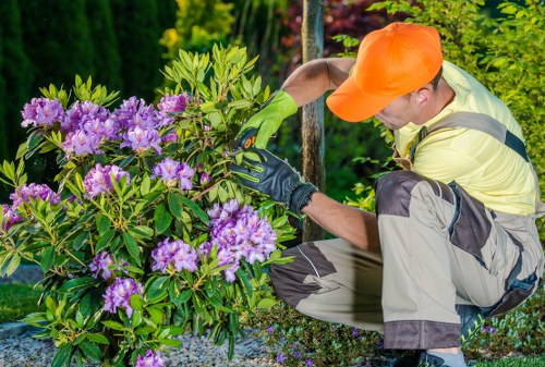 Arborist pruning dense branches for crown thinning in Walthamstow