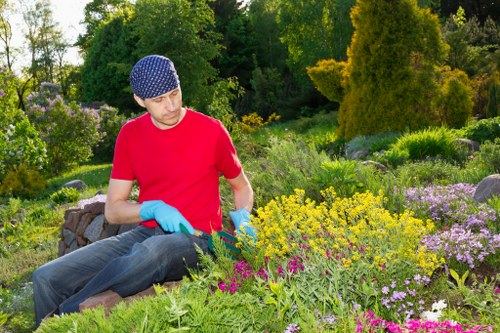 SSL-encrypted Tree Surgeons Walthamstow payment processing
