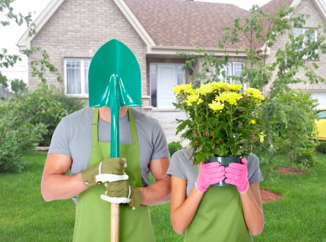 Experienced arborists performing tree maintenance in an urban garden