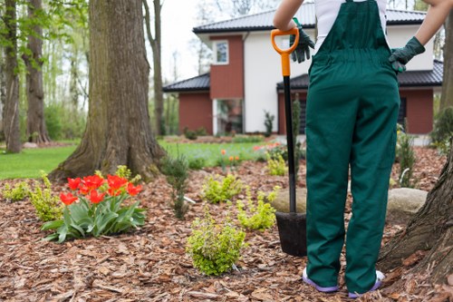 Supply chain review and supplier compliance check for arboriculture